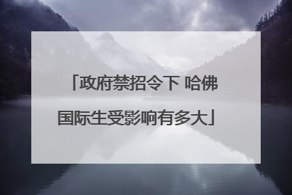 政府禁招令下 哈佛国际生受影响有多大