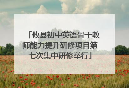 攸县初中英语骨干教师能力提升研修项目第七次集中研修举行