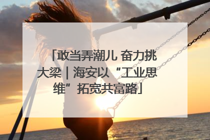 敢当弄潮儿 奋力挑大梁｜海安以“工业思维”拓宽共富路