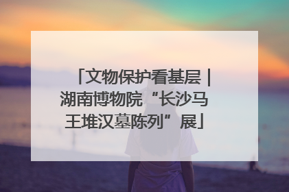 文物保护看基层｜湖南博物院“长沙马王堆汉墓陈列”展