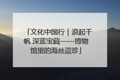文化中国行｜浪起千帆 深蓝宝藏——博物馆里的海丝遗珍