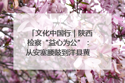 文化中国行｜陕西检察“益心为公”：从安塞腰鼓到洋县黄酒的非遗守护