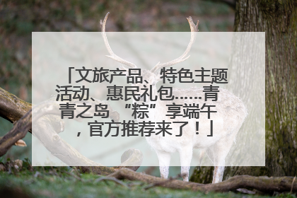 文旅产品、特色主题活动、惠民礼包……青青之岛 “粽”享端午，官方推荐来了！