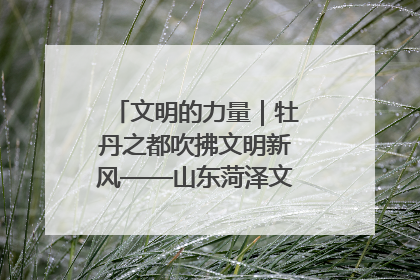 文明的力量｜牡丹之都吹拂文明新风——山东菏泽文明创建一线见闻