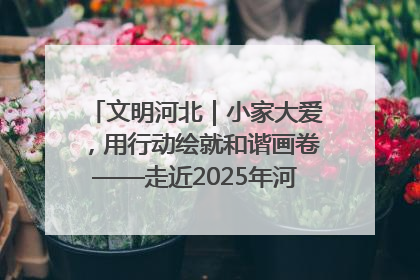文明河北｜小家大爱，用行动绘就和谐画卷——走近2025年河北省“最美家庭”