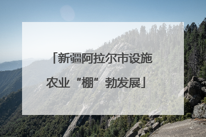 新疆阿拉尔市设施农业“棚”勃发展