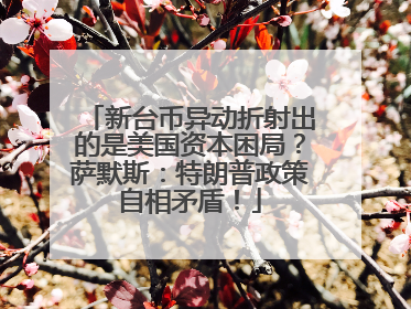 新台币异动折射出的是美国资本困局？萨默斯：特朗普政策自相矛盾！