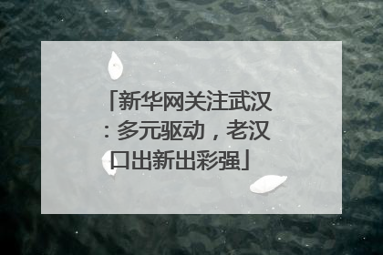 新华网关注武汉：多元驱动，老汉口出新出彩强