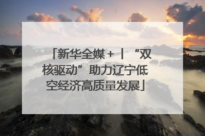 新华全媒＋丨“双核驱动”助力辽宁低空经济高质量发展