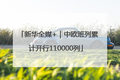 新华全媒+｜中欧班列累计开行110000列
