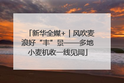 新华全媒+｜风吹麦浪好“丰”景——多地小麦机收一线见闻