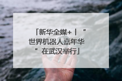 新华全媒+丨“世界机器人嘉年华”在武汉举行