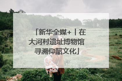 新华全媒+丨在大河村遗址博物馆寻溯仰韶文化