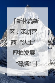 新化高新区：深耕营商“沃土” 厚植发展“磁场”