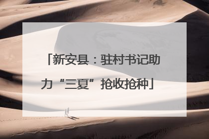 新安县：驻村书记助力“三夏”抢收抢种