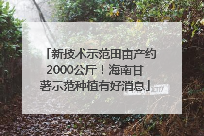 新技术示范田亩产约2000公斤！海南甘薯示范种植有好消息