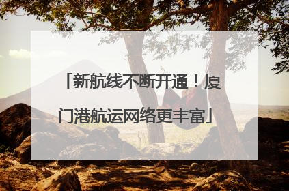 新航线不断开通！厦门港航运网络更丰富