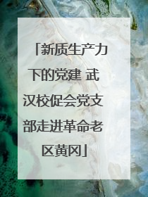 新质生产力下的党建 武汉校促会党支部走进革命老区黄冈