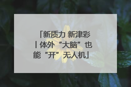 新质力 新津彩丨体外“大脑”也能“开”无人机