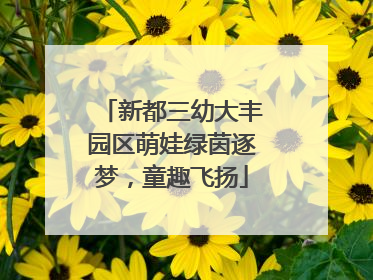 新都三幼大丰园区萌娃绿茵逐梦，童趣飞扬