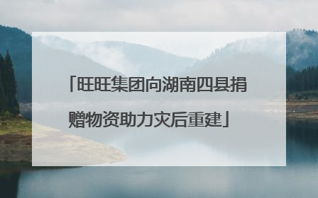 旺旺集团向湖南四县捐赠物资助力灾后重建