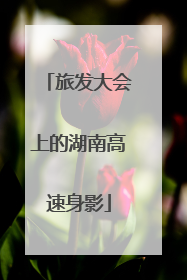 旅发大会上的湖南高速身影