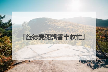 旌德麦穗飘香丰收忙