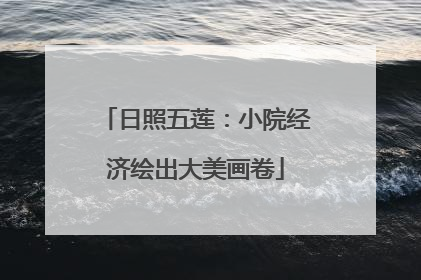 日照五莲：小院经济绘出大美画卷