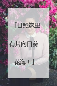 日照这里有片向日葵花海！