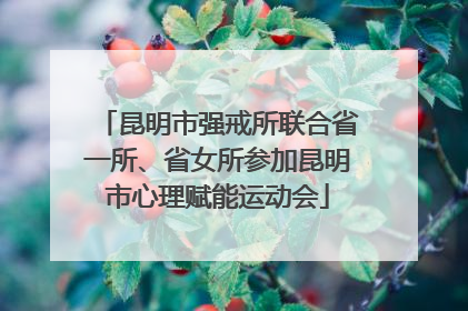 昆明市强戒所联合省一所、省女所参加昆明市心理赋能运动会