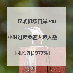 昆明机场口岸240小时过境免签入境人数同比增长977%
