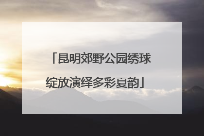昆明郊野公园绣球绽放演绎多彩夏韵