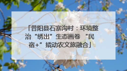昔阳县石寨沟村：环境整治“绣出”生态画卷 “民宿+”撬动农文旅融合