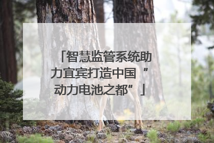 智慧监管系统助力宜宾打造中国“动力电池之都”