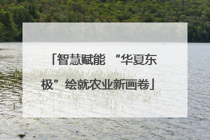智慧赋能 “华夏东极”绘就农业新画卷