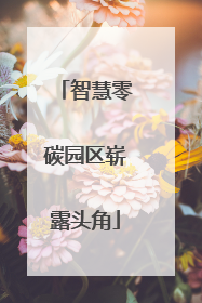 智慧零碳园区崭露头角