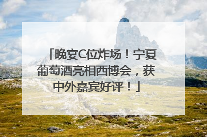 晚宴C位炸场！宁夏葡萄酒亮相西博会，获中外嘉宾好评！
