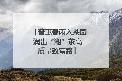 普惠春雨入茶园 润出“湘”茶高质量致富路