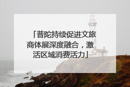 普陀持续促进文旅商体展深度融合，激活区域消费活力