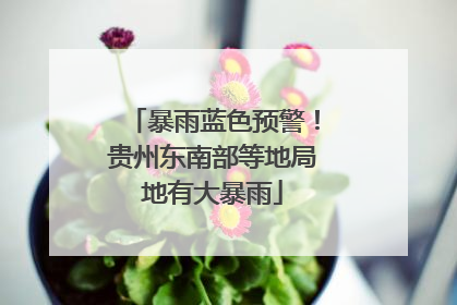 暴雨蓝色预警！贵州东南部等地局地有大暴雨