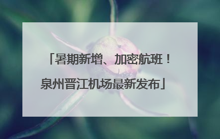 暑期新增、加密航班！泉州晋江机场最新发布