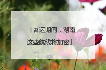 暑运期间，湖南这些航线将加密