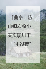 曲阜：防山镇夏收小麦实现烘干“不过夜”