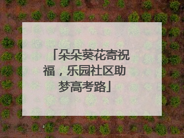 朵朵葵花寄祝福，乐园社区助梦高考路