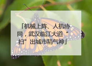 机械上阵、人机协同，武汉临江大道“扫”出城市精气神