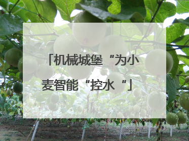 机械城堡“为小麦智能“控水“