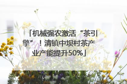机械强农激活“茶引擎”！清镇中坝村茶产业产能提升50%