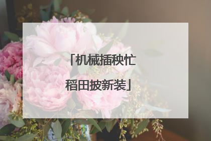 机械插秧忙 稻田披新装