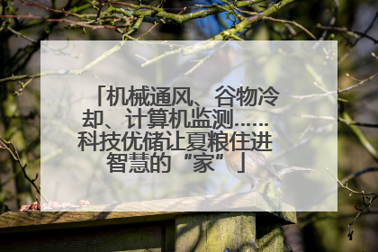 机械通风、谷物冷却、计算机监测……科技优储让夏粮住进智慧的“家”