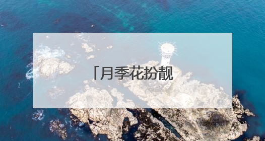 月季花扮靓北京道路